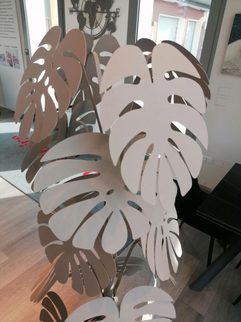 Large beige monstera plant Image