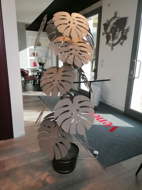 Large beige monstera plant Image