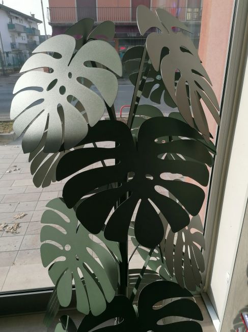 Große grüne Salbei-Monstera-Pflanze Image