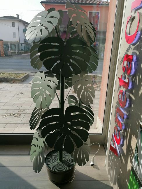 Große grüne Salbei-Monstera-Pflanze Image
