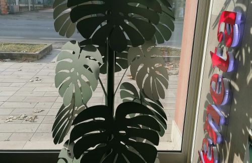 Pianta monstera grande verde salvia