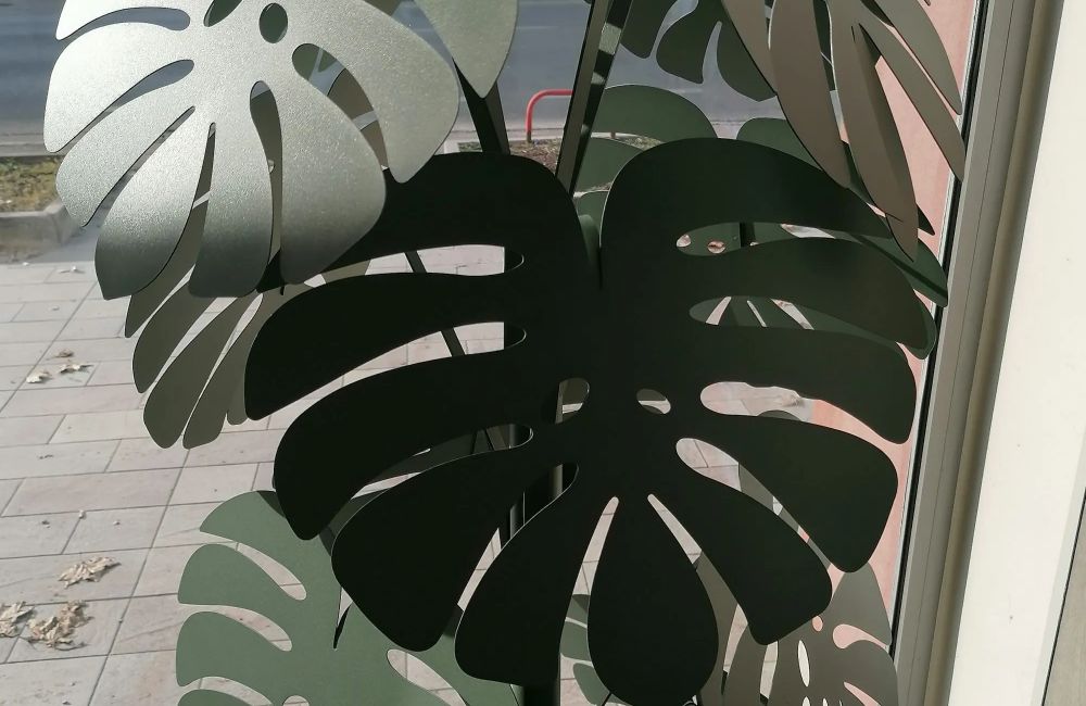 Pianta monstera grande verde salvia Image